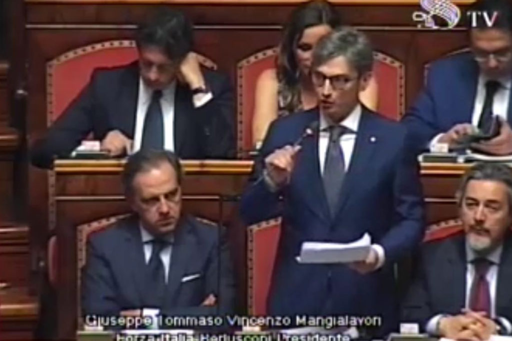 L‘intervento del Senatore di Forza Italia Giuseppe Mangialavori in Senato, seduta n° 17,  sugli ammortizzatori sociali.